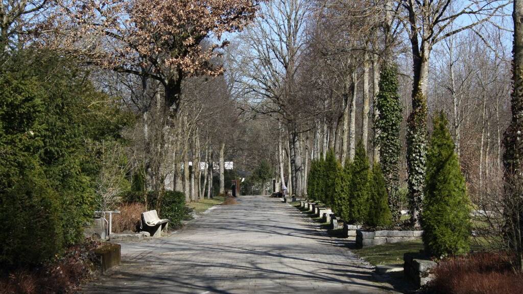 Forstwirtschaft zum Kauf 30.000 m² Grundstück Putzbrunn 85640