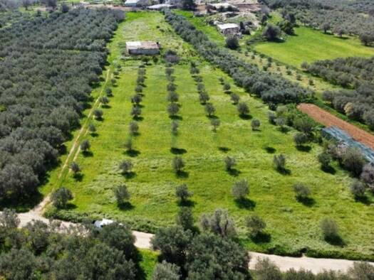 Land-/Forstwirtschaft zum Kauf 81.000 € 10.808 m² Grundstück Municipality of Festos 702 00