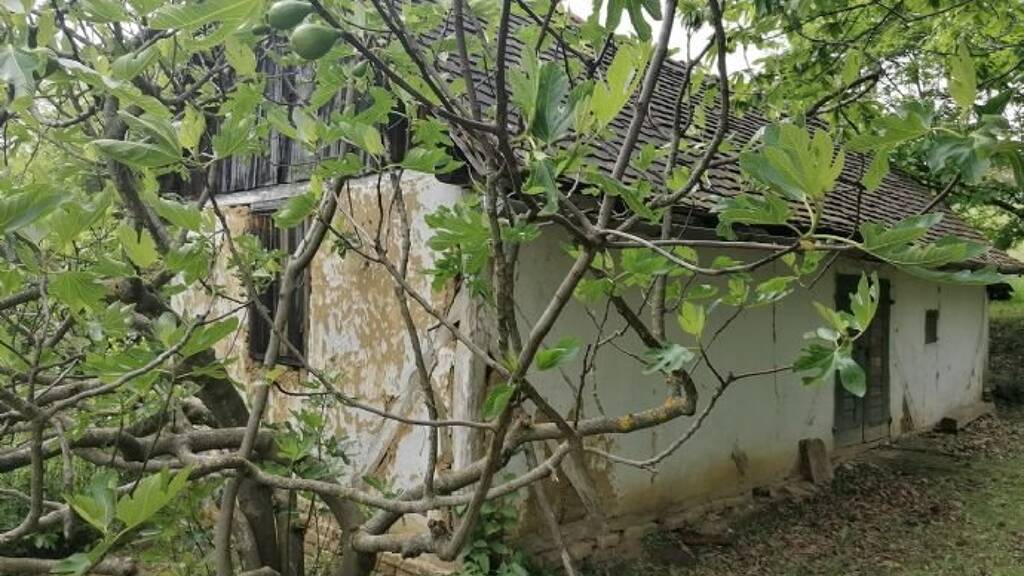 Haus zum Kauf provisionsfrei 10.000 € 1 Zimmer 35 m² 2.691 m² Grundstück Bocska