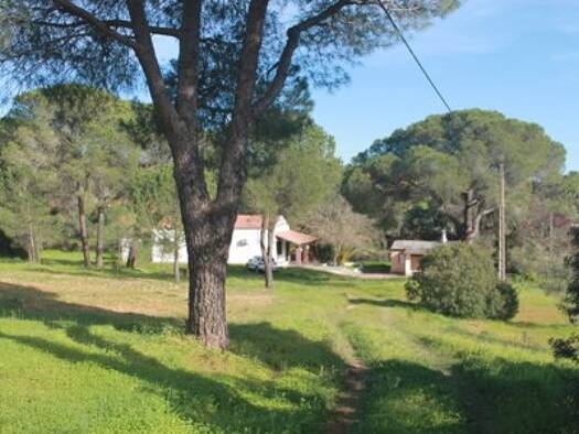 Bauernhaus zum Kauf provisionsfrei 200.000 € 10 Zimmer 204 m² 5.500 m² Grundstück Trigueros 21620