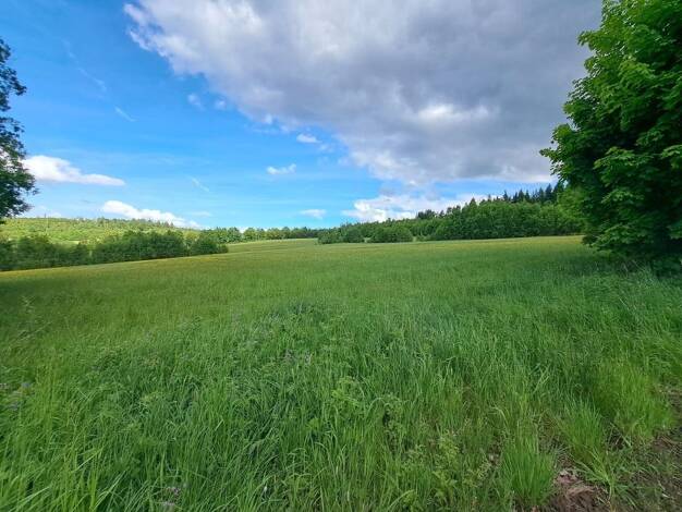 Gewerbegrundstück zum Kauf 1.250.000 € 33.621 m² Grundstück frei ab sofort Lichtenberg 95192