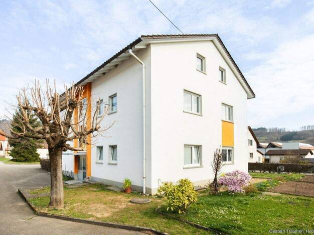 Haus zum Kauf 474.000 € 11 Zimmer 326 m² 1.039 m² Grundstück Hausen im Wiesental 79688