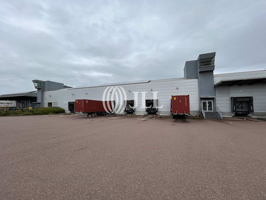 Lagerhalle zur Miete provisionsfrei 16.514 m² Lagerfläche teilbar ab 3.446 m² Wolfen Bitterfeld-Wolfen 06766