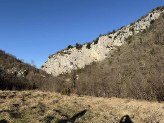 Acker-/Waldstück zum Kauf 35.000 € Buzet Buzet 52420
