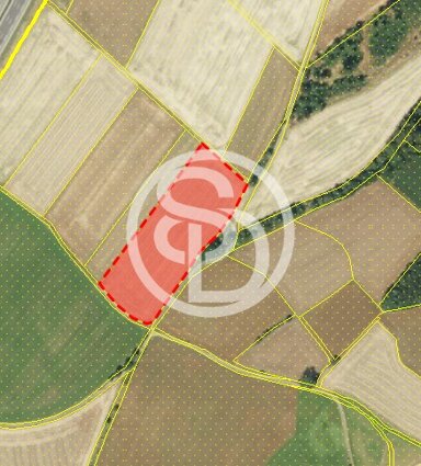 Land-/Forstwirtschaft zum Kauf 12.260 m² Grundstück Berg Berg 95180