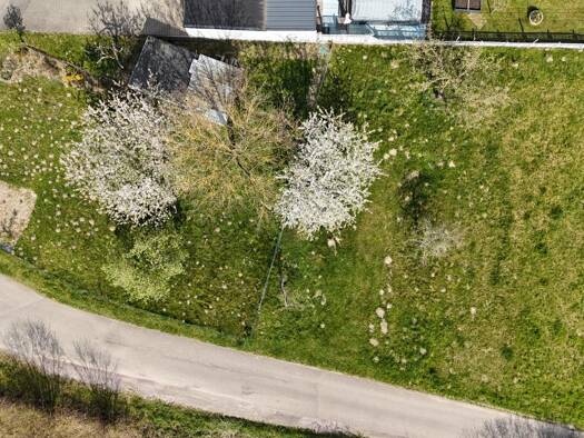 Grundstück zum Kauf 375.000 € 1.167 m² Grundstück Wallbach Bad Säckingen 79713