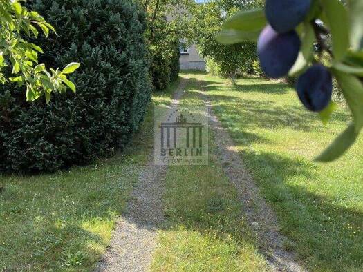 Mehrfamilienhaus zum Kauf 159.000 € 6 Zimmer 120 m² 1.555 m² Grundstück Kleinkmehlen 01990