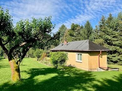 Freizeitgrundstück zum Kauf 25.000 € 3.710 m² Grundstück Falkenstein Falkenstein 08223