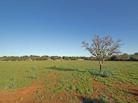 Grundstück zum Kauf provisionsfrei 625.000 € 20.652 m² Grundstück Santanyi