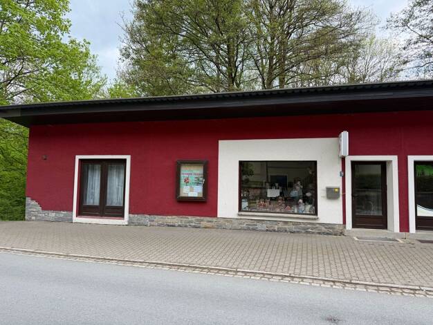 Doppelhaushälfte zum Kauf 58.000 € 2 Zimmer 67 m² 172 m² Grundstück Bad Brambach Bad Brambach 08648