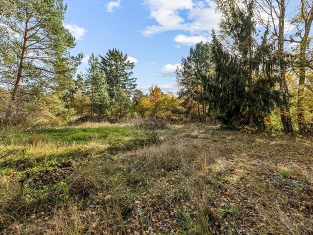 Grundstück zum Kauf 350.000 € 1.780 m² Grundstück Ausbau West Fürstenwalde 15517