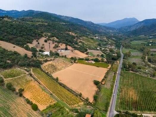 Grundstück zum Kauf 248.000 € 10.000 m² Grundstück Jerzu 08044