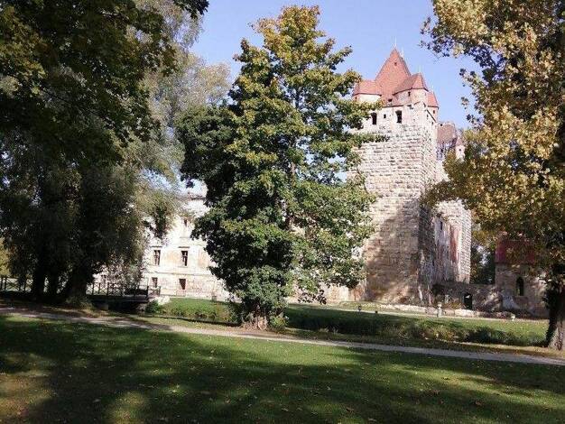 Wohnung zur Miete 650 € 2,5 Zimmer 50 m² 1. Geschoss Bahnhofstraße 25 Pottendorf 2486