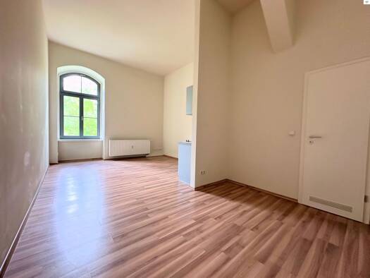 Wohnung zur Miete 475 € 1 Zimmer 29,1 m² Leipziger Straße 2 a Leipziger Vorstadt Ortsamtsbereich Neustadt 01097