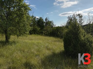 Land-/Forstwirtschaft zum Kauf 309.000 € 10.000 m² Grundstück Oprtalj 52428