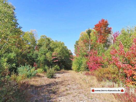 Grundstück zum Kauf 98.500 € 520.000 m² Grundstück West Side Road Country Harbour 010