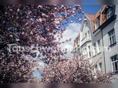 Wohnung zur Miete Tauschwohnung 1.200 € 4 Zimmer 85 m² Centrum Münster 48149