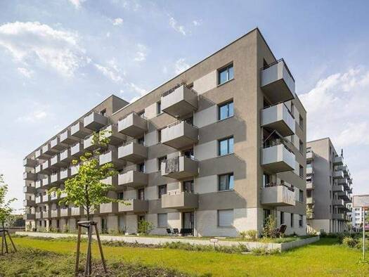 Wohnung zur Miete 856 € 2 Zimmer 55,3 m² EG frei ab sofort Lion-Feuchtwanger-Straße 19 Kaulsdorf Berlin 12619