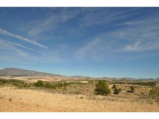 Acker-/Waldstück zum Kauf 39.900 € Jumilla 30529