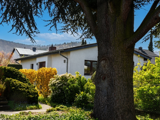 Einfamilienhaus zum Kauf 630.000 € 6 Zimmer 130 m² 691 m² Grundstück frei ab 01.08.2026 Jugenheim Seeheim-Jugenheim 64342