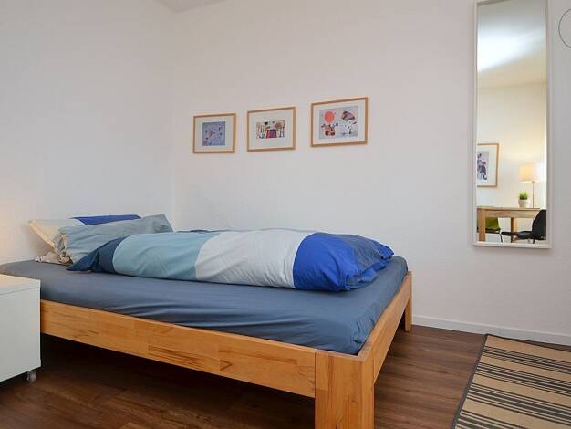 Wohnung zur Miete auf Zeit 790 € 1 Zimmer 20 m² frei ab sofort Altstadt Mainz 55116