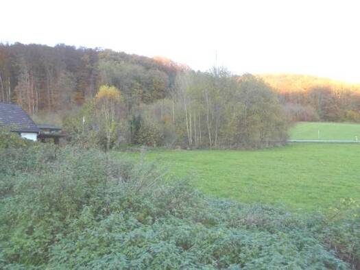 Grundstück zum Kauf 21.000 € 924 m² Grundstück Im Roggenthal Beverungen 37688