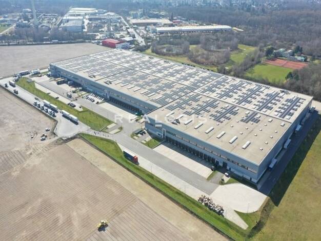 Halle/Industriefläche zur Miete 18.442 m² Lagerfläche teilbar ab 8.500 m² Niehl Köln 50735