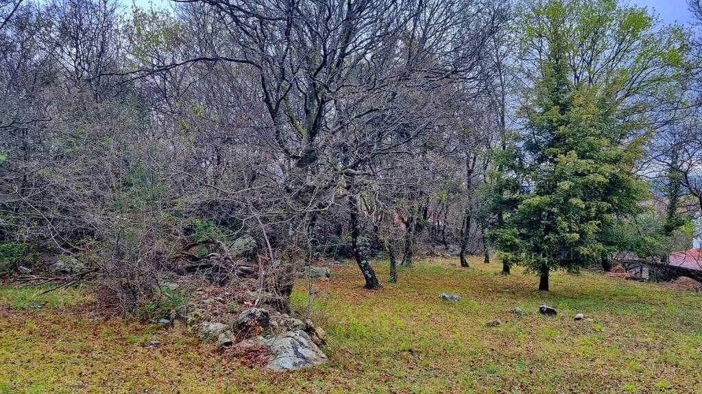 Gewerbegrundstück zum Kauf 80.000 € Krk 51500