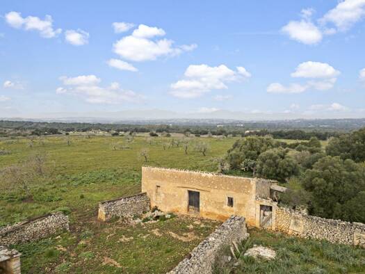 Grundstück zum Kauf 990.000 € 207.500 m² Grundstück Ariany 07529