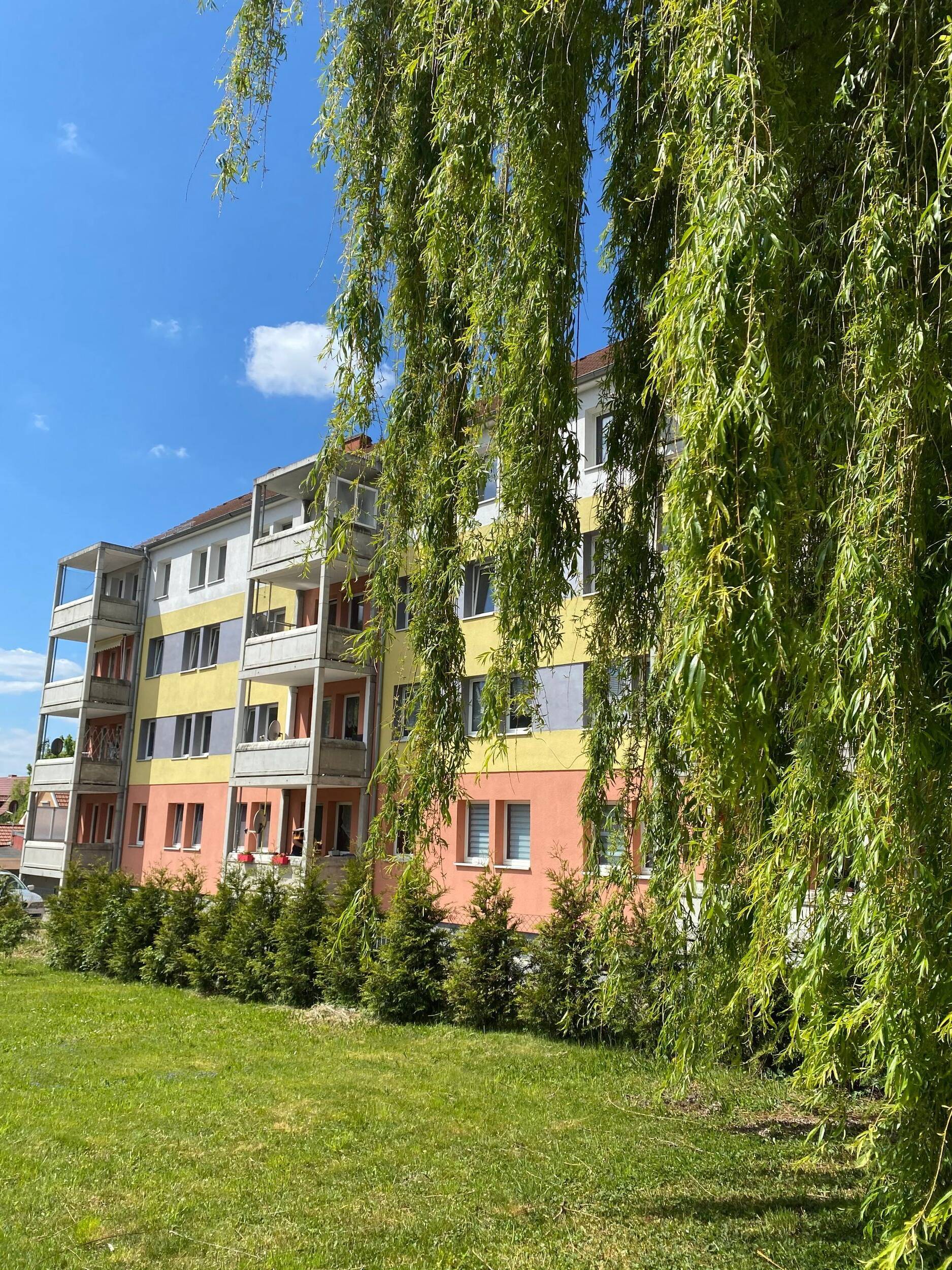 Wohnung zur Miete 270 € 2 Zimmer 46,1 m²<br/>Wohnfläche 1.<br/>Geschoss 01.03.2025<br/>Verfügbarkeit Menteröder Str. 9 Mühlhausen Mühlhausen /Thüringen 99974