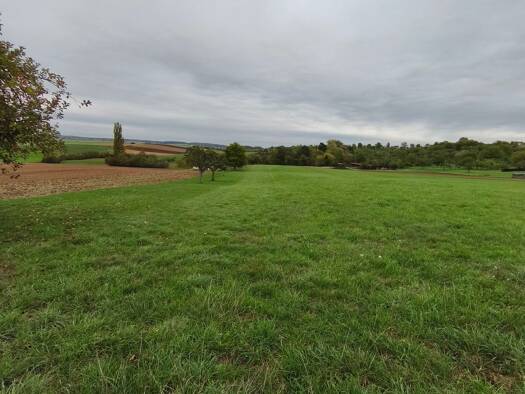 Land-/Forstwirtschaft zum Kauf provisionsfrei 3.000 € 1.375 m² Grundstück Brettach Langenbrettach 74243