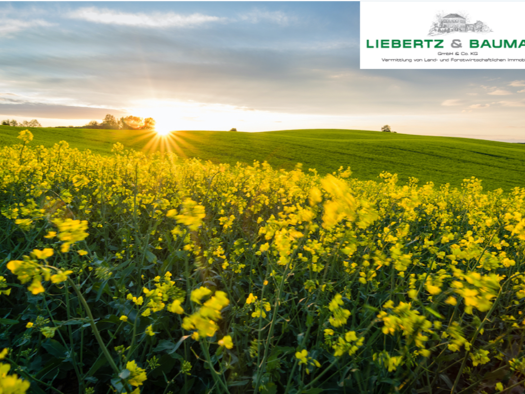 Land-/Forstwirtschaft zum Kauf 720.000 € 66.387 m² Homberg Ratingen 40882