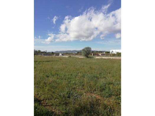 Acker-/Waldstück zum Kauf 33.630 € POLIGONO 11 836 Benicarló 12580