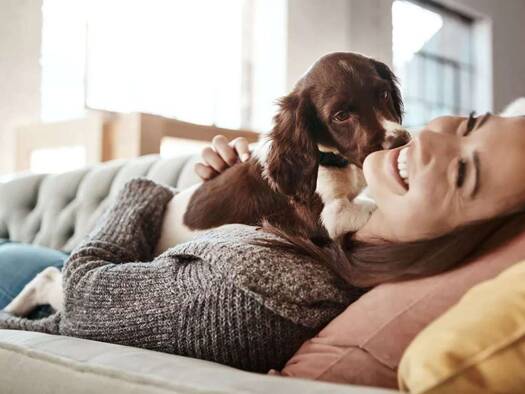 Einfamilienhaus zum Kauf - Erstbezug provisionsfrei 390.000 € 4 Zimmer 112 m² 650 m² Grundstück Trebsen 04687