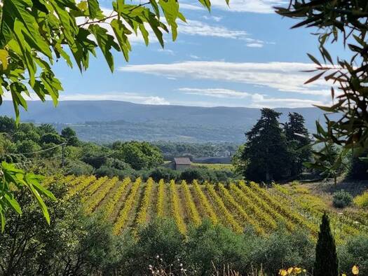 Land-/Forstwirtschaft zum Kauf 180.000 m² Grundstück Montfavet Banlieue Avignon 84000