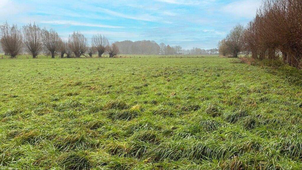 Land-/Forstwirtschaft zum Kauf 25.000 € 3.641 m² Grundstück Hüls Krefeld / Hüls 47839