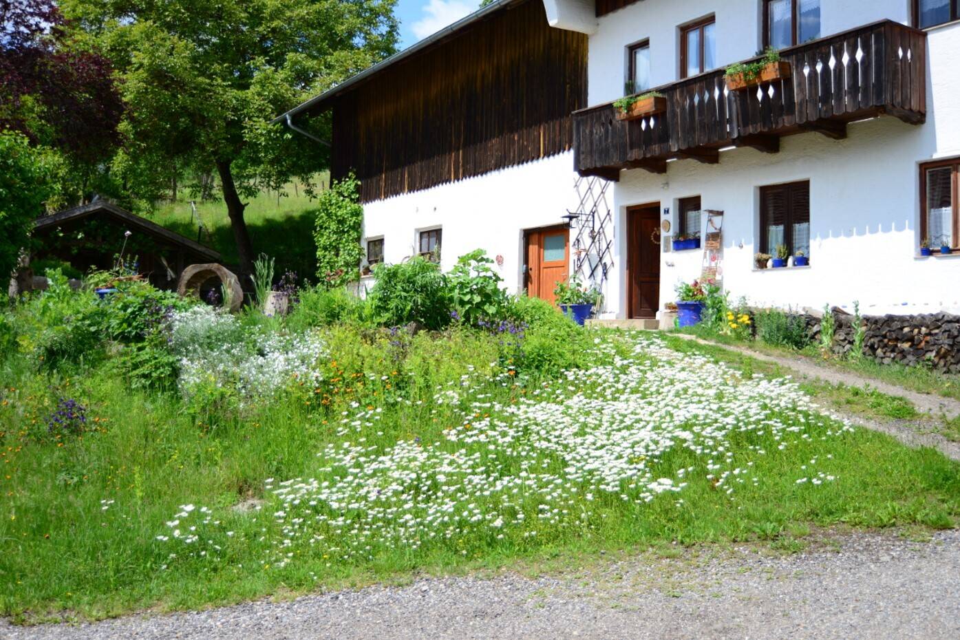 Immobilie in Wiesenfelden - Fast Alleinlage: Idyllisches Anwesen Nähe Wetzelsberg - Bild 2