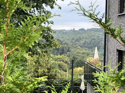 Mehrfamilienhaus zum Kauf als Kapitalanlage geeignet 3.500.000 € 813 m² 1.728 m² Grundstück Rennbaumer Straße 45 Cronenberg Wuppertal 42349