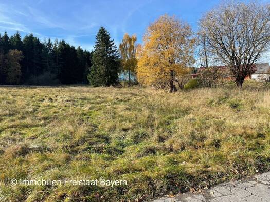 Grundstück zum Kauf provisionsfrei 7.160 m² Grundstück Rehbergweg Mehlmeisel 95694