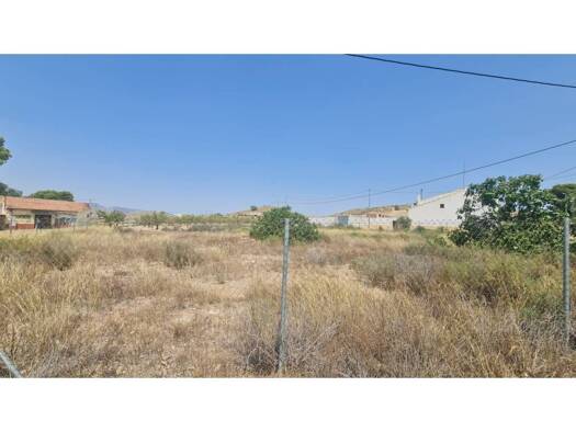 Acker-/Waldstück zum Kauf 35.995 € Abanilla 00000