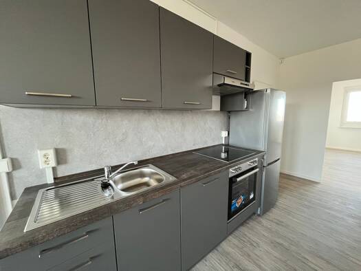 Wohnung zur Miete 454 € 4 Zimmer 70 m² frei ab sofort Neuplanitzer Straße 35 Neuplanitz Zwickau 08062