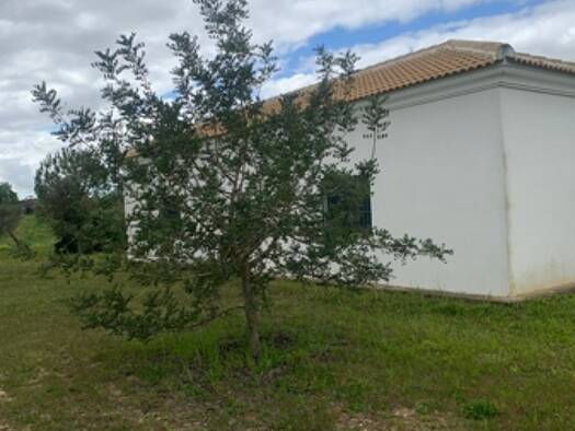 Bauernhaus zum Kauf provisionsfrei 160.000 € 3 Zimmer 120 m² 43.320 m² Grundstück Bollullos Par del Condado 21710