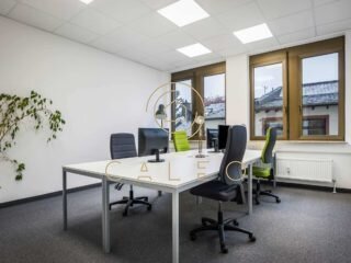 Bürokomplex zur Miete provisionsfrei 40 m²<br/>Bürofläche ab 1 m²<br/>Teilbarkeit Rödelheim Frankfurt am Main 60489