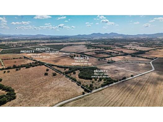 Acker-/Waldstück zum Kauf 1.101.919 € Vilafranca de Bonany 07250