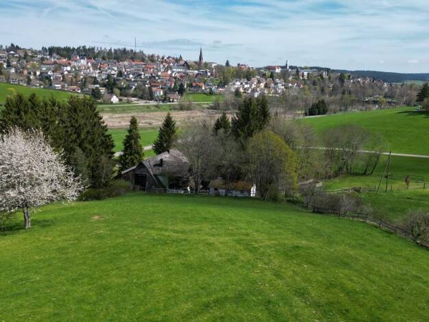 Haus zum Kauf 790.000 € 10 Zimmer 280 m² 23.658 m² Grundstück frei ab sofort Stadtgebiet St. Georgen 78112
