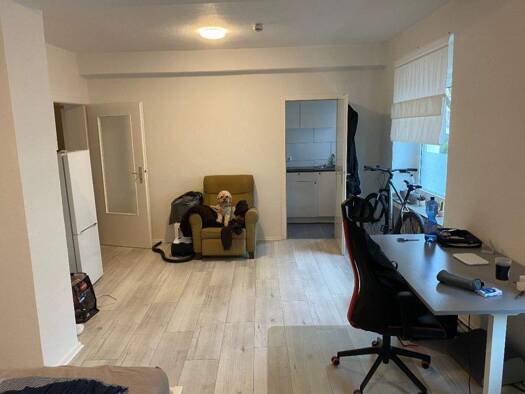 Wohnung zur Miete 320 € 1,5 Zimmer 33 m² frei ab sofort Mitte Dortmund 44137