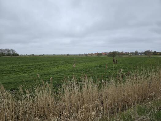 Land-/Forstwirtschaft zum Kauf 312.000 € 12.000 m² Grundstück Midlum Wurster Nordseeküste 27639