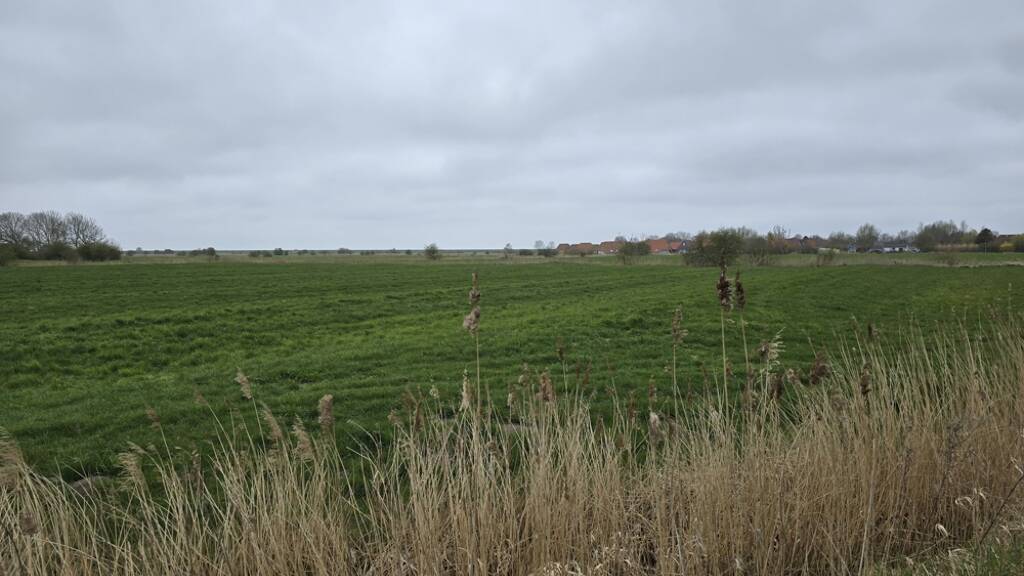 Land-/Forstwirtschaft zum Kauf 312.000 € 12.000 m² Grundstück Midlum Wurster Nordseeküste 27639