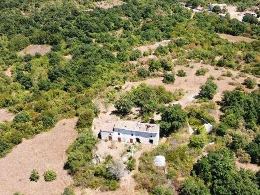 Grundstück zum Kauf 800.000 € 36.000 m² Grundstück istrien 52000