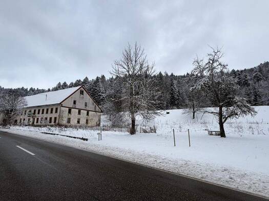 Restaurant zum Kauf 420.000 € 30.000 m² Grundstück Albtal Sankt Blasien 79837